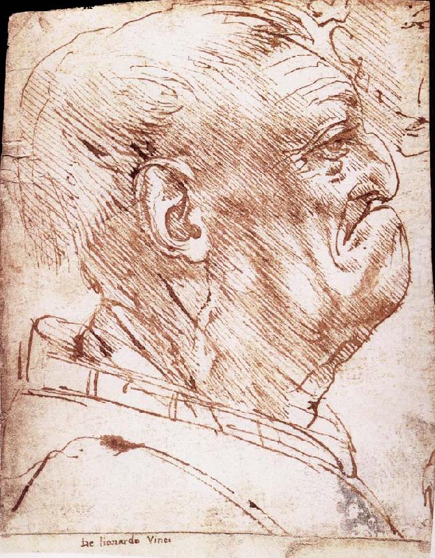 Grotesque profile of a man, LEONARDO da Vinci